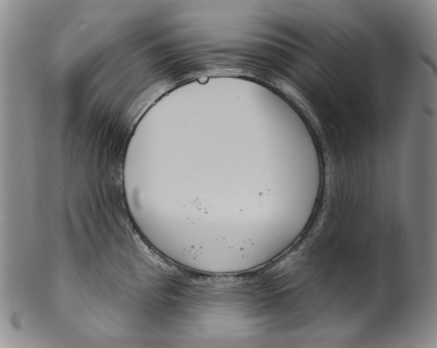 X0000100411193200806271436