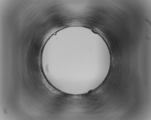 X0000100411195200806271436