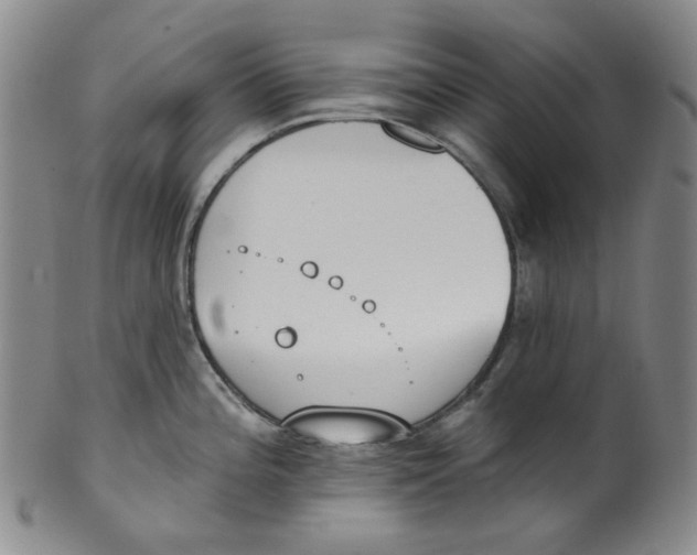 X0000100411196200806271436