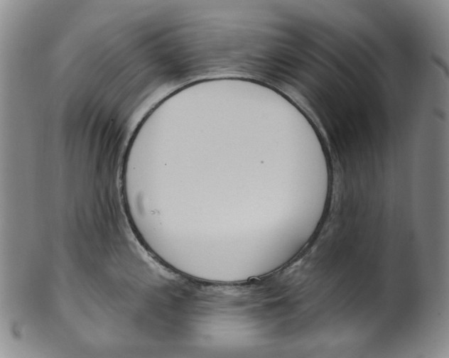 X0000100411197200806271436