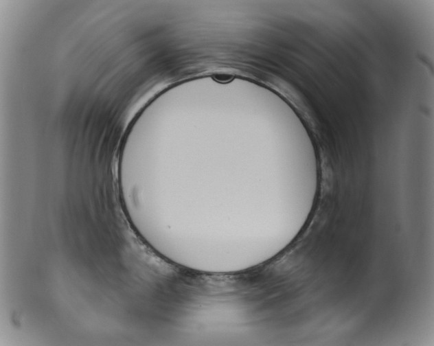 X0000100411198200806271436