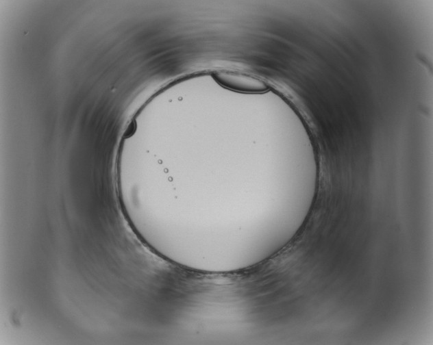 X0000100411199200806271436