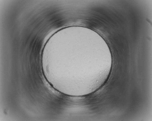 X0000100411200200806271436