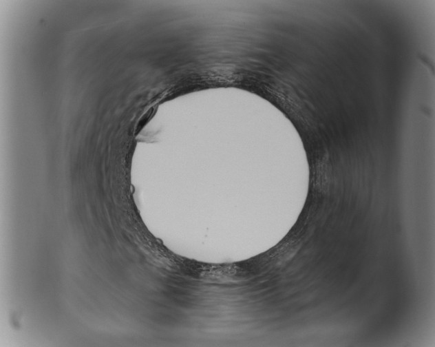 X0000100411201200806271436