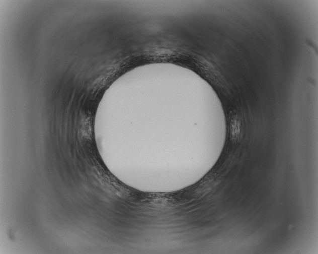 X0000100411204200806271436