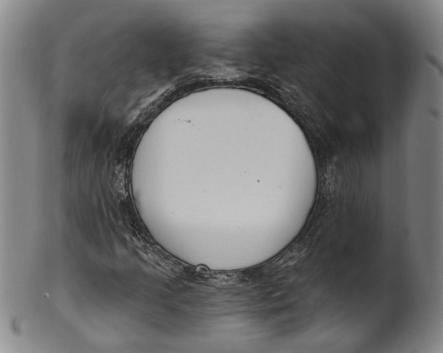 X0000100411205200806271436