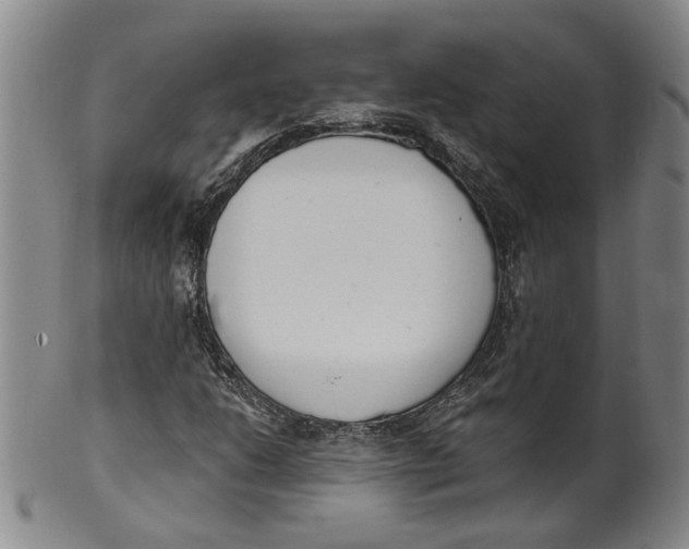 X0000100411206200806271436