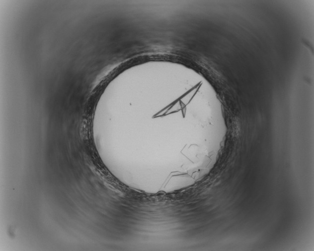 X0000100411208200806271436