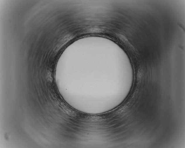 X0000100411209200806271436