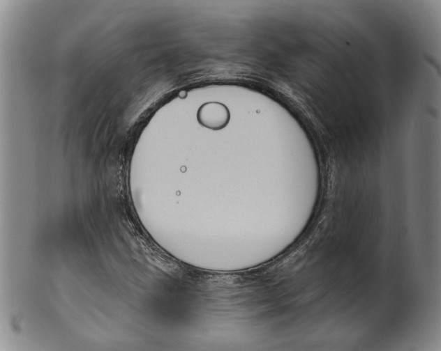 X0000100411211200806271436