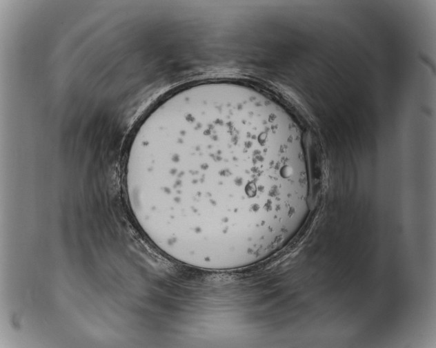 X0000100411212200806271436