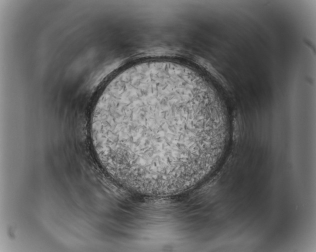 X0000100411213200806271436