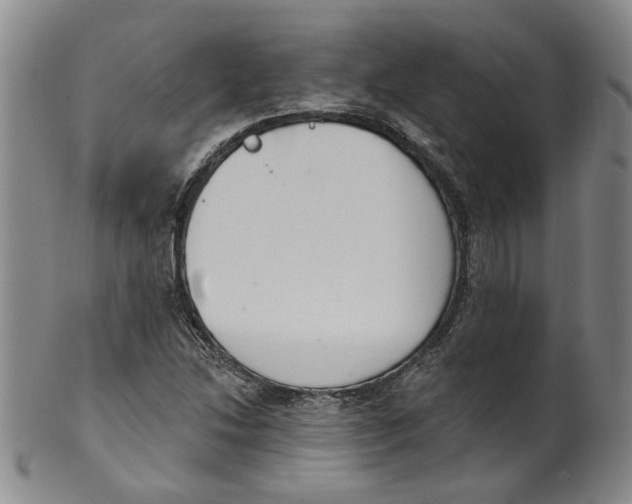 X0000100411214200806271436