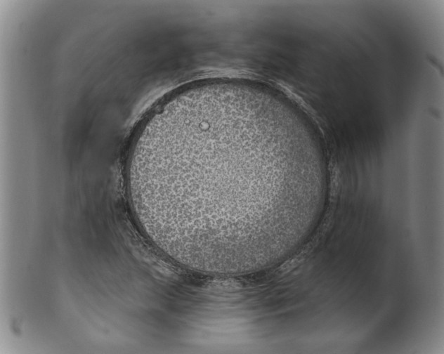 X0000100411215200806271436