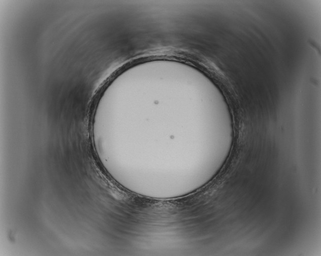 X0000100411216200806271436