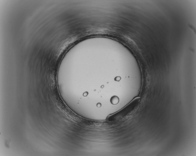 X0000100411218200806271436