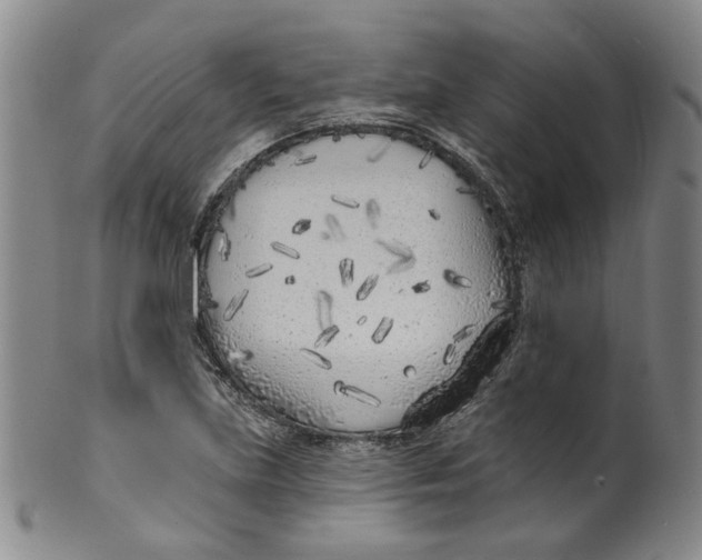 X0000100411219200806271436