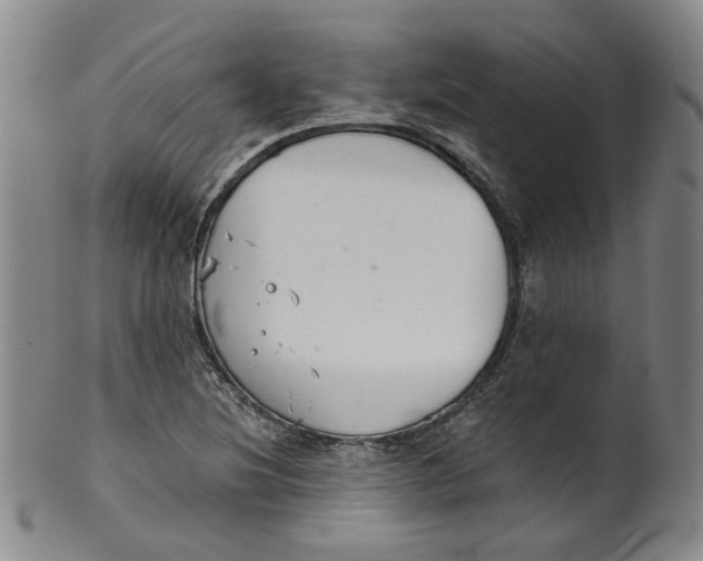 X0000100411220200806271436