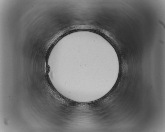 X0000100411221200806271436