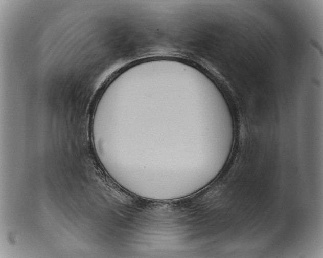 X0000100411222200806271436