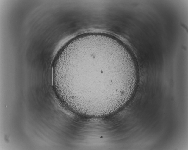 X0000100411223200806271436