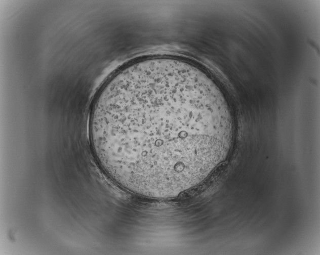 X0000100411224200806271436