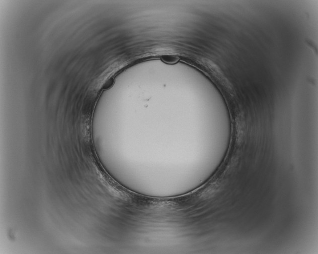 X0000100411225200806271436