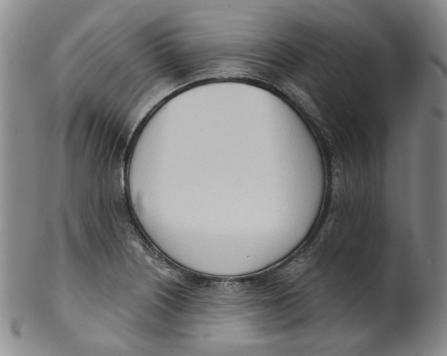 X0000100411226200806271436