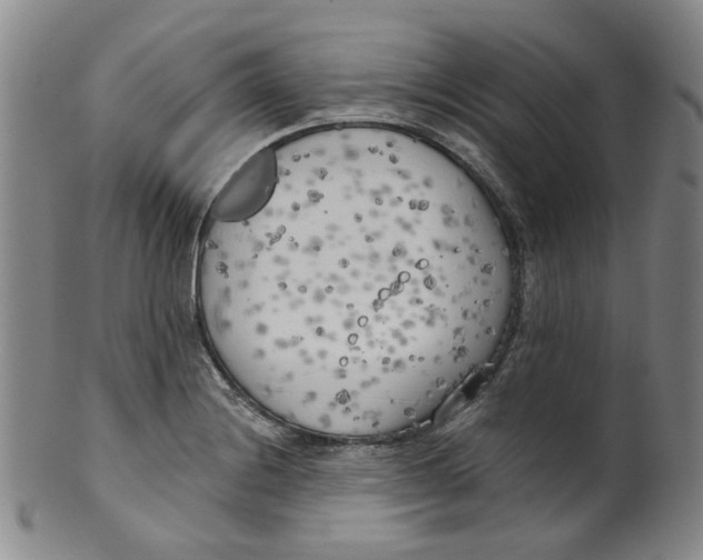 X0000100411228200806271436