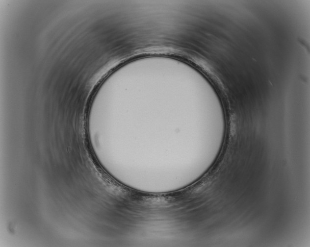 X0000100411229200806271436