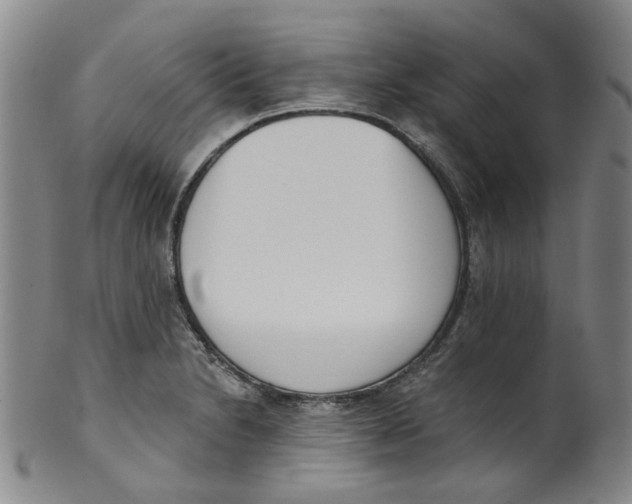 X0000100411230200806271436