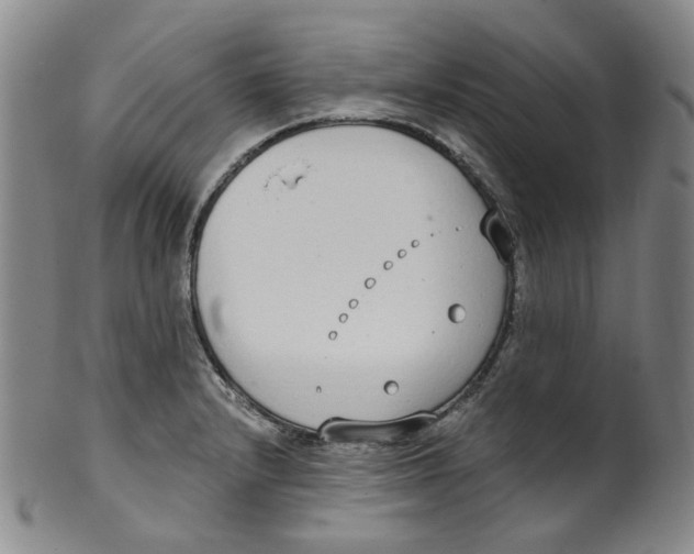 X0000100411232200806271436