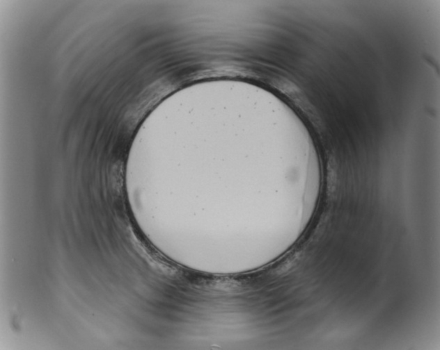 X0000100411233200806271436