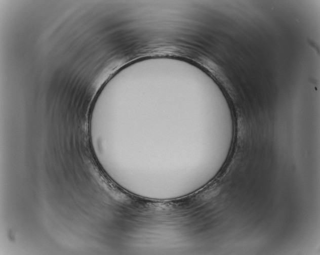 X0000100411234200806271436