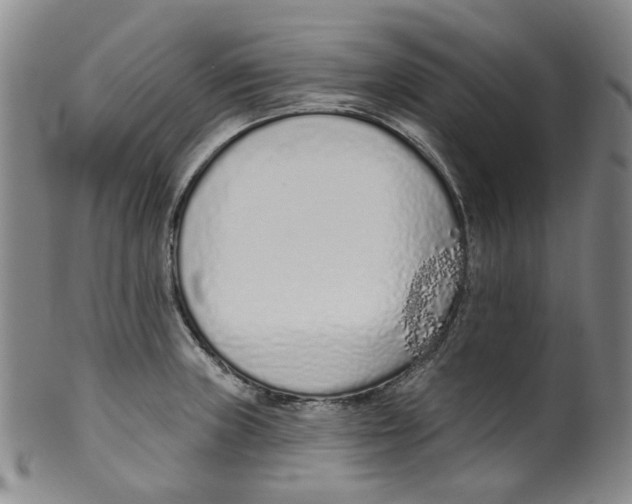 X0000100411235200806271436