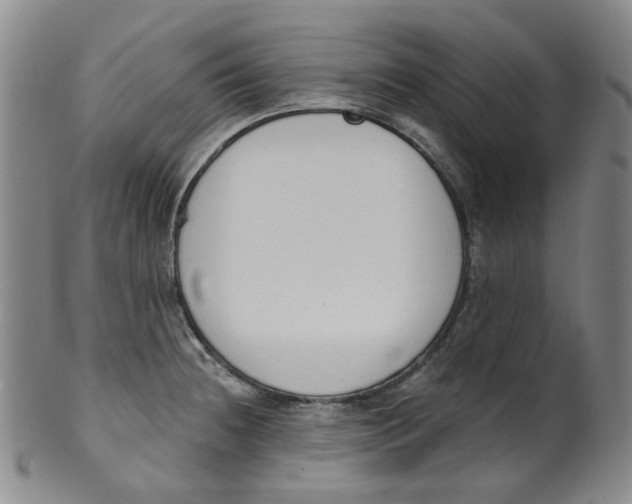 X0000100411236200806271436