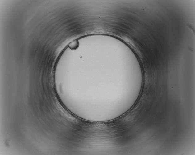 X0000100411238200806271436