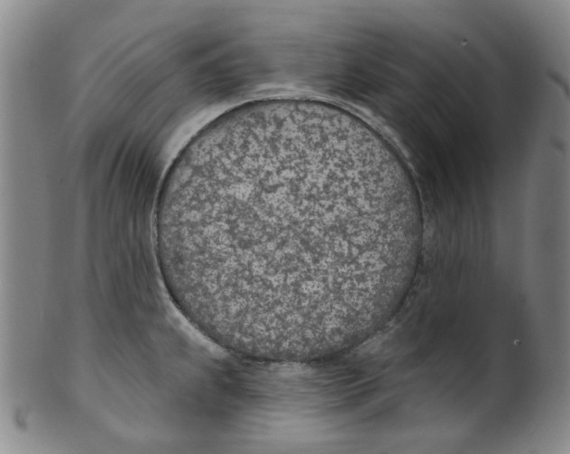 X0000100411239200806271436