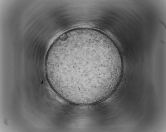 X0000100411240200806271436