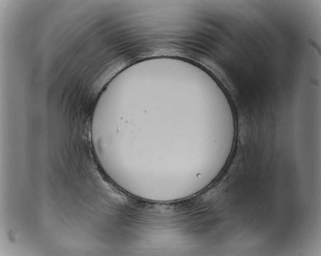 X0000100411241200806271436