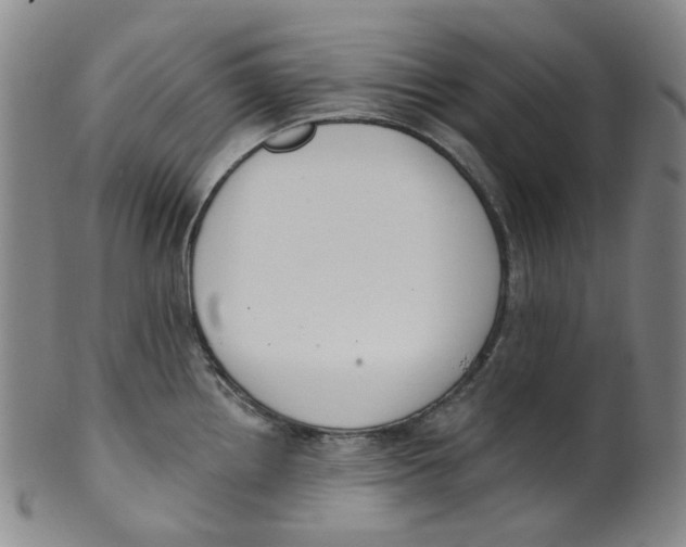 X0000100411242200806271436