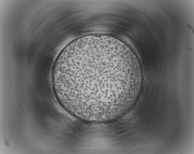 X0000100411243200806271436