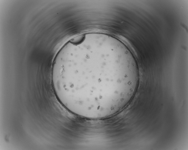 X0000100411244200806271436