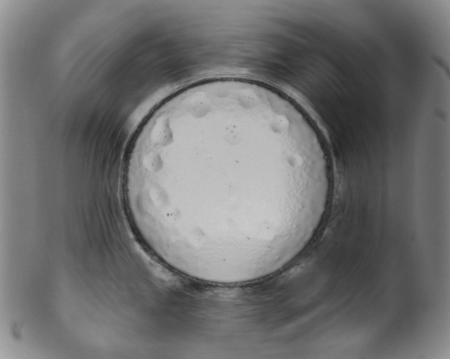 X0000100411245200806271436