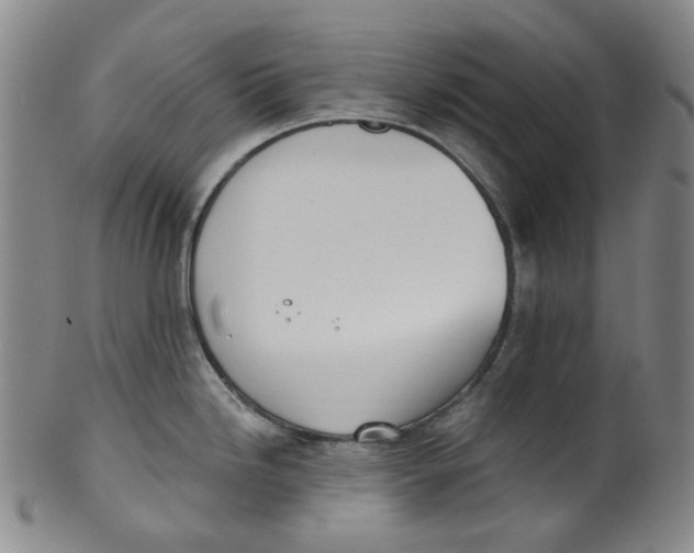 X0000100411246200806271436