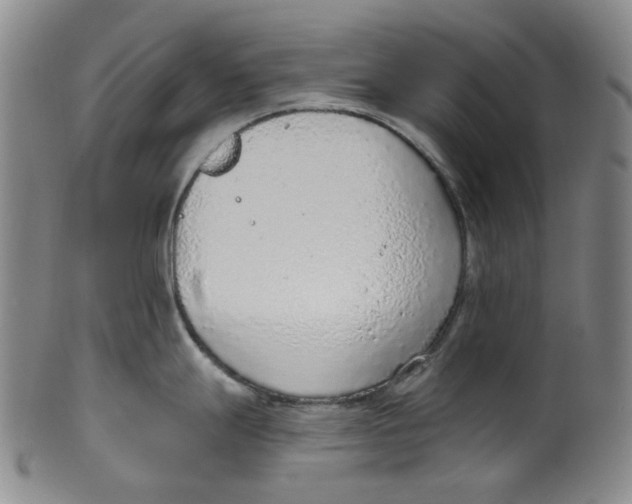 X0000100411247200806271436