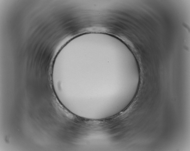 X0000100411248200806271436