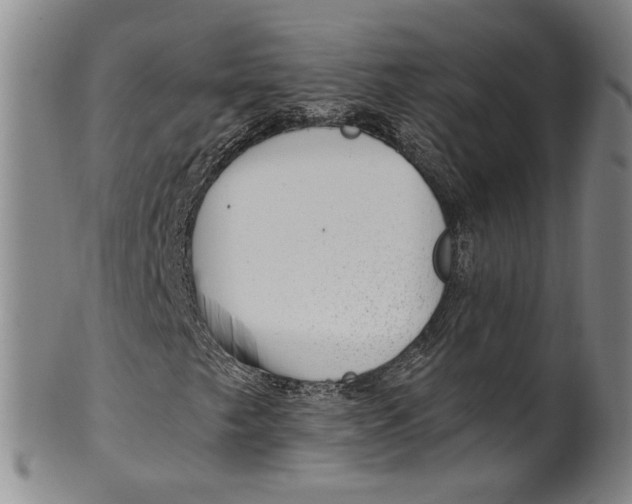 X0000100411249200806271436