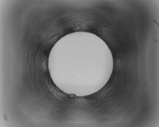 X0000100411250200806271436