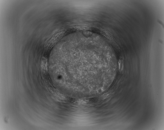 X0000100411251200806271436